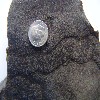 image of Figure 35